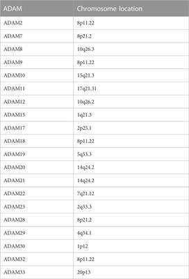 Pan-cancer analysis of ADAMs: A promising biomarker for prognosis and response to chemotherapy and immunotherapy